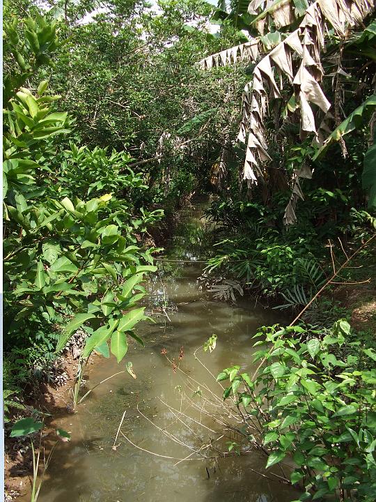 Vietnam Mekong Delta (1)